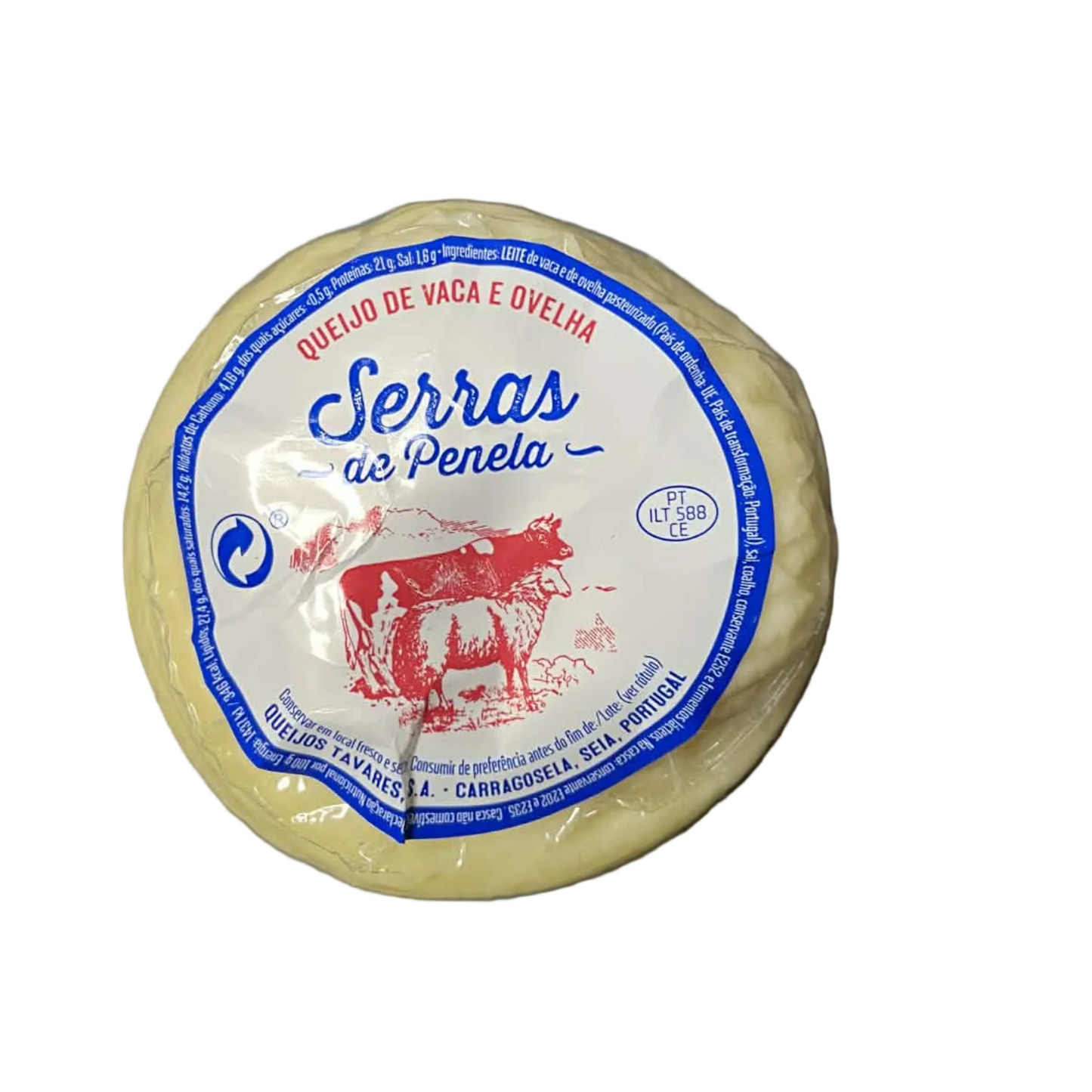 Round cheese with a blue label on a white background